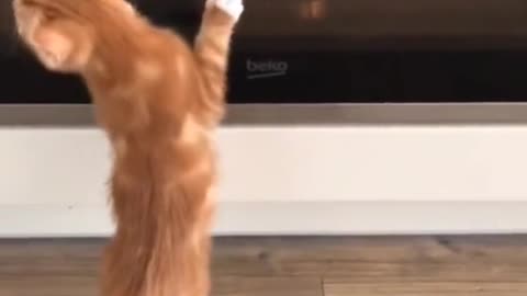 Yummy, how do I get to it?