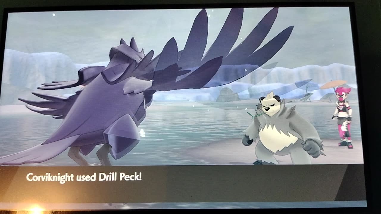 Pokemon Sword:Team Yell's Goofy Moments