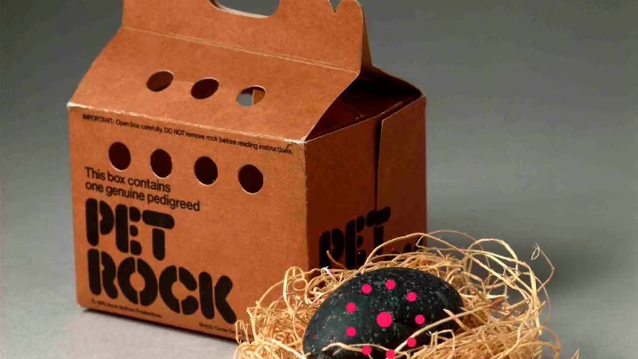 We wanted a pet rock. That's right, we asked for it.