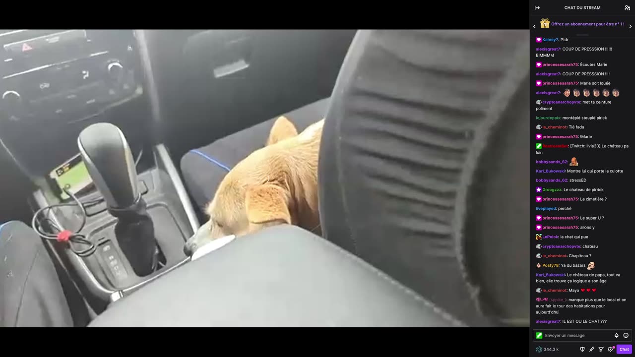 2023-06-30 (2bis.2) - French Dream sur la route des vacances - Publicités + Triskelina (avec chat)