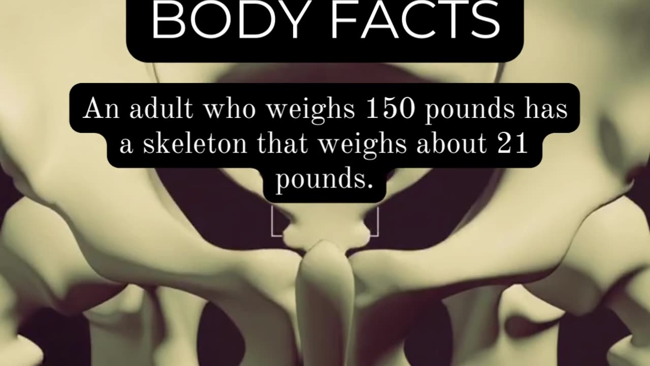 Fascinating Human Body Facts: Things You Never Knew