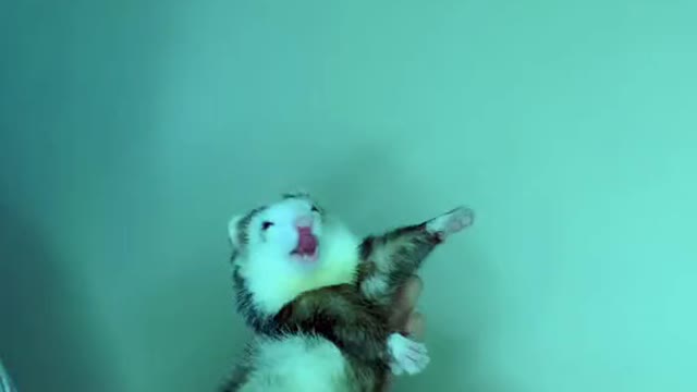 Wine with me 💃🕺