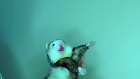 Wine with me 💃🕺