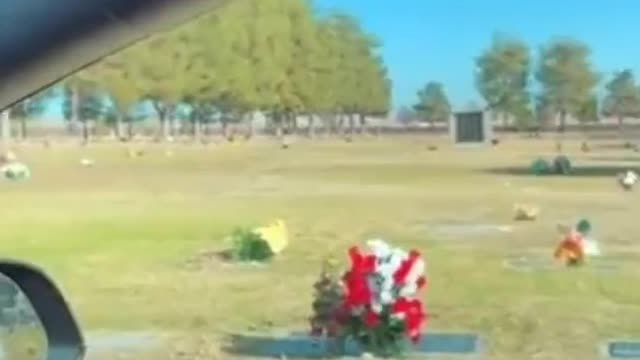 Tesla Collision Detection Sensing a Person Who Isn’t There While Parked At a Cemetery