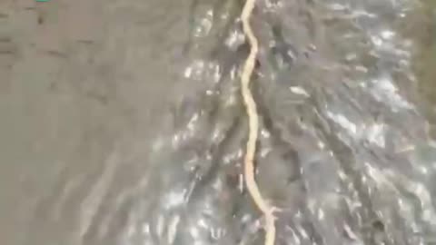 এই লাঠির রহস্য কী..😱😱
