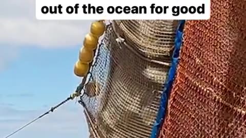 Great Pacific garbage patch clean up