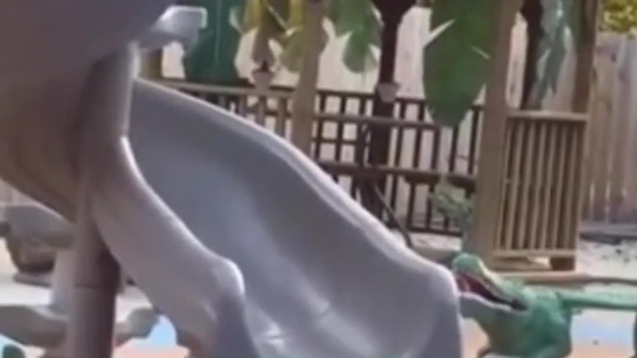 petscomrade 😂😂: Funniest Cats and Dogs Videos Compilation#8😂😂