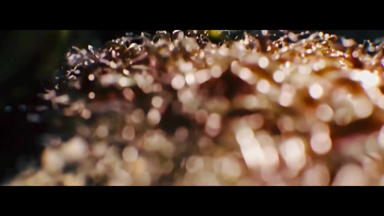 Alien Romulus Trailer