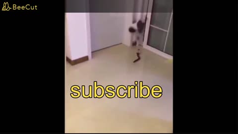 funny video, Bes🤣 t Funny Animal Videos Of The 2023