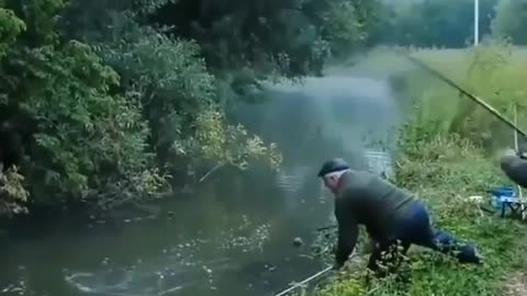 This is a beautiful and charming water-dwelling species