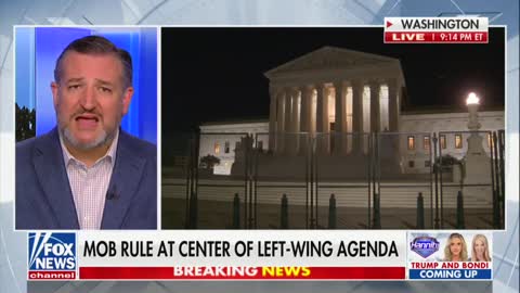 "Disgusting!" Tec Cruz Goes OFF at Joe Biden Over SCOTUS Protests