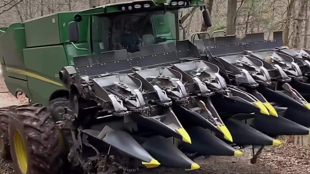 CRC vídeos curiosos