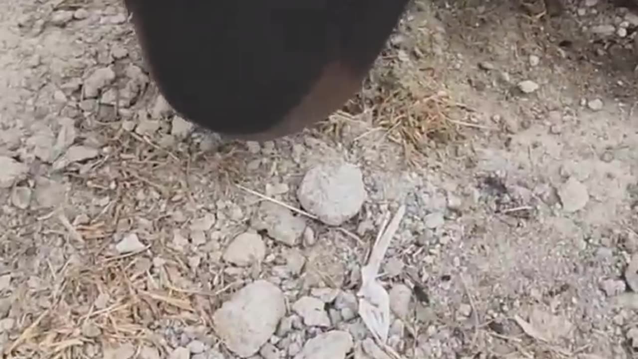 wait for part 2 #shorts #funny #viral 🤣🤣🤣