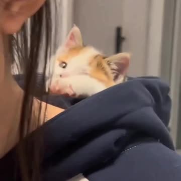 Precious cargo 😍😍👍