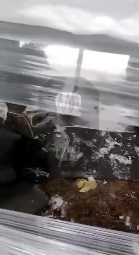 Tents made of plastic film for the Russian newly mobilized.