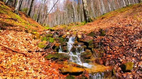 Waterfall relaxing music l Peaceful nature video l feet th sound of water l