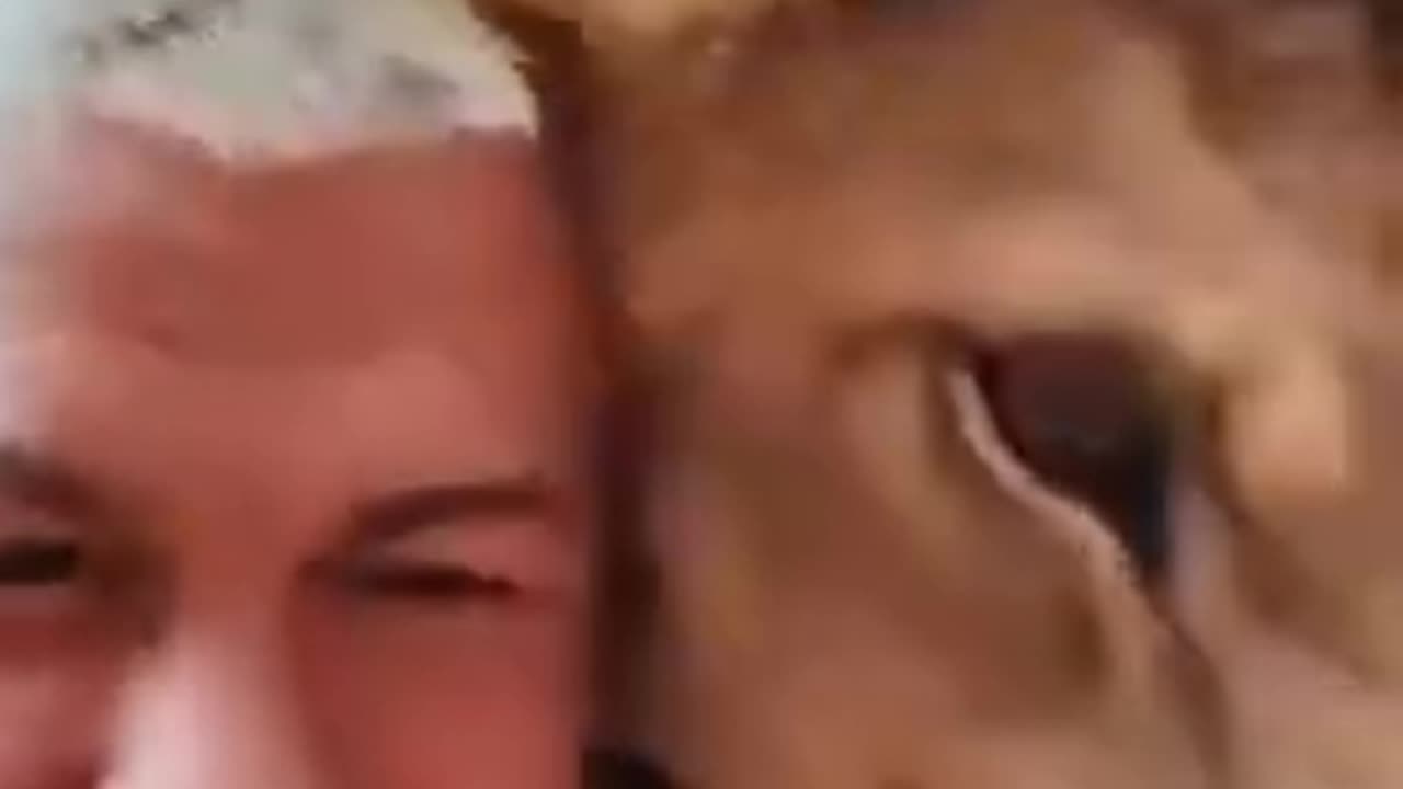 THE REAL LION KING