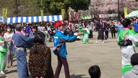 Sakura Festival