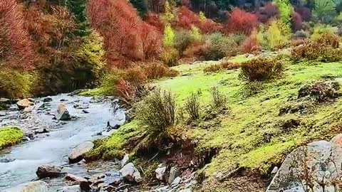 Standing on the headstream hillock