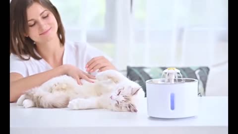 Cat Water Fountain