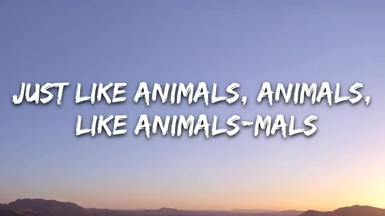 Animals lyrics