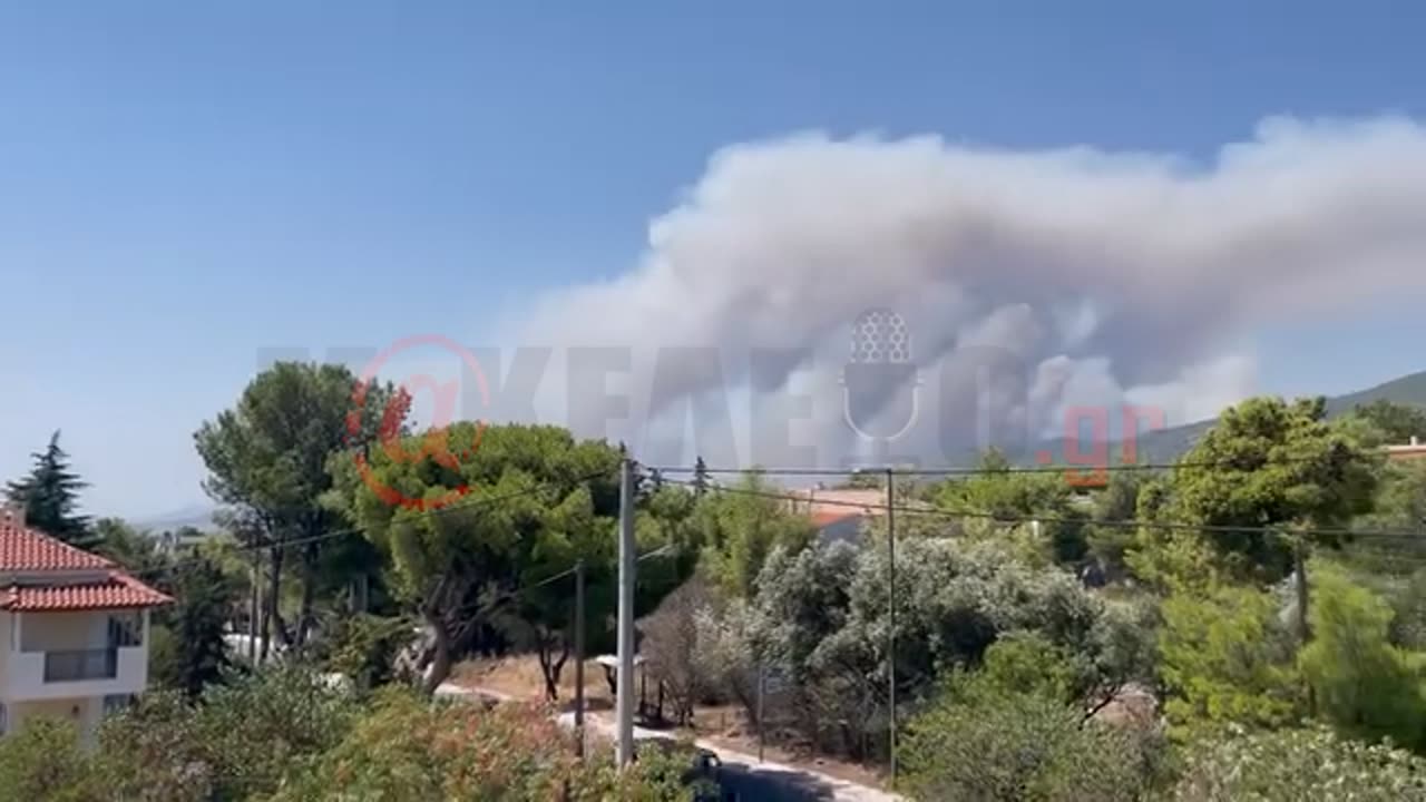 φωτια παρνηθα 3