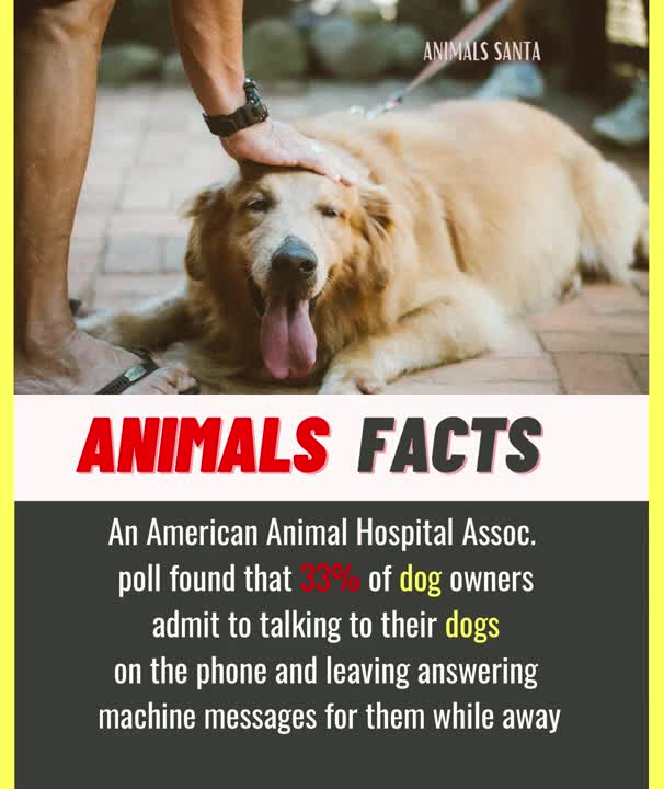 Amazing Random Interesting Dog Facts - That You Should Know | Did You Know
