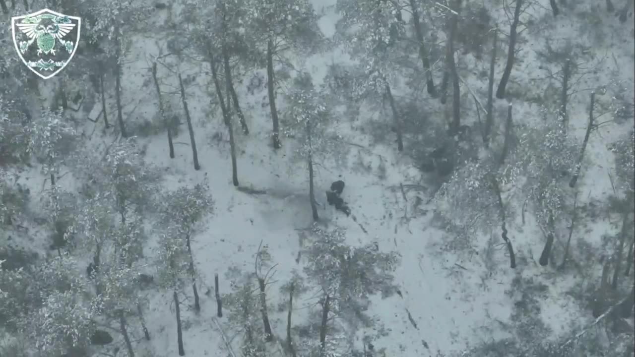 More forest clearing near Kremennaya