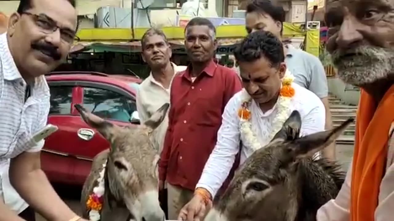 Donkey eat sweets 🤪🤪