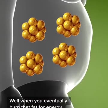 What happens to fat when you lose weight is pretty wild.