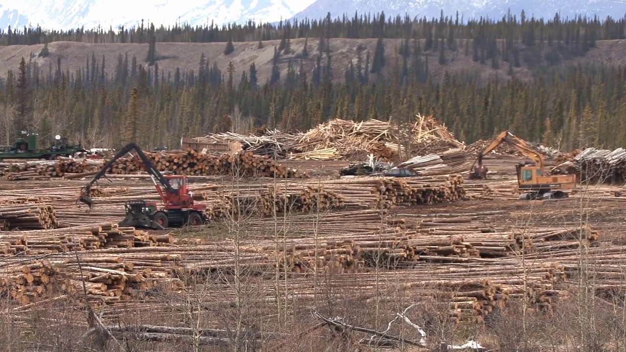 "Canada: 12 Compelling Reasons to Call It the Best (2022)"