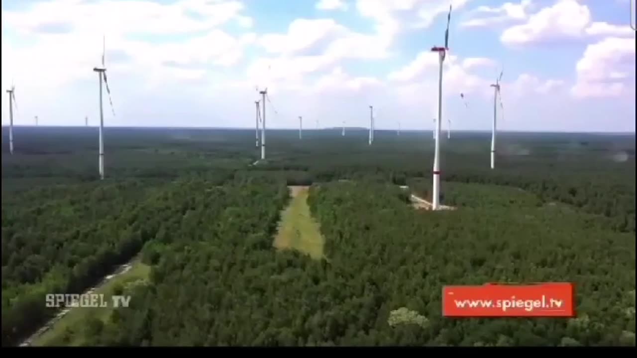 Windräder bauen und dafür Wälder roden