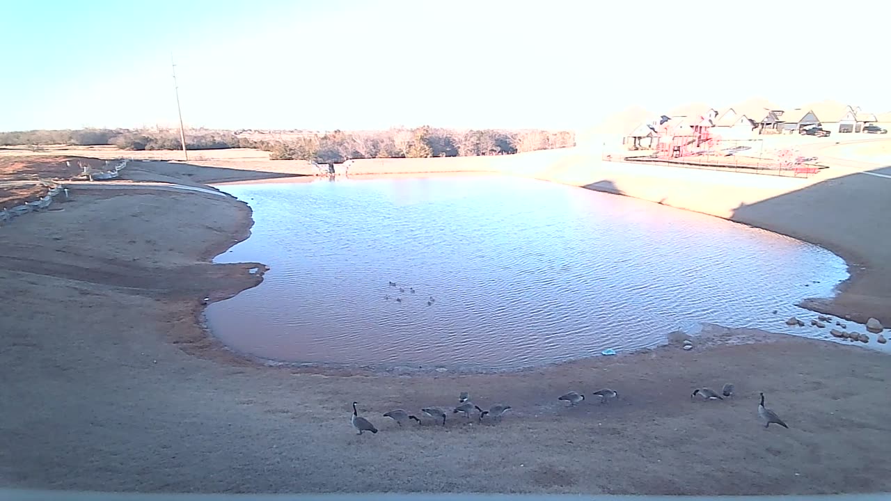 The Pond