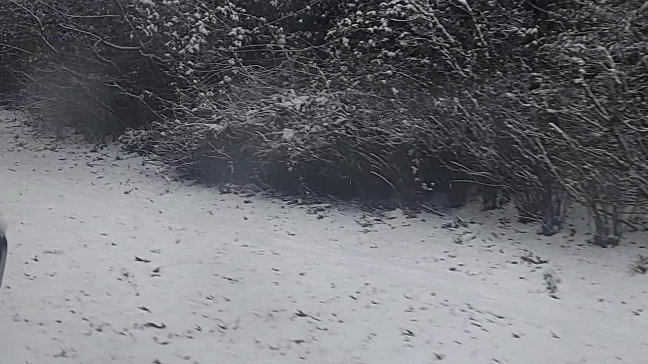 Driving in snow fall