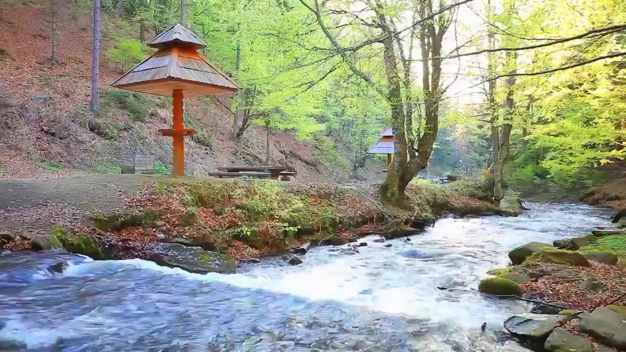 Peaceful Nature Ambience with Relaxing Music