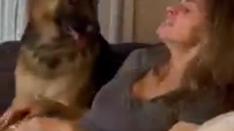 German Shepherd Rescues Owner From A Sneeze