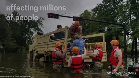 American Humane Harvey Victims Still Need Help