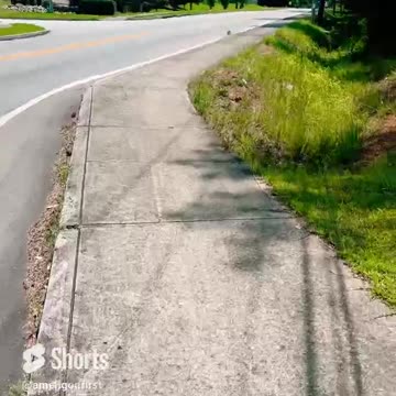 SR abundance of energy #shorts