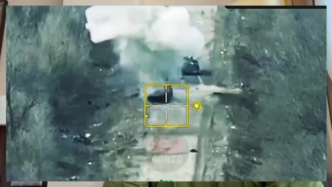 Scott Ritter military expert