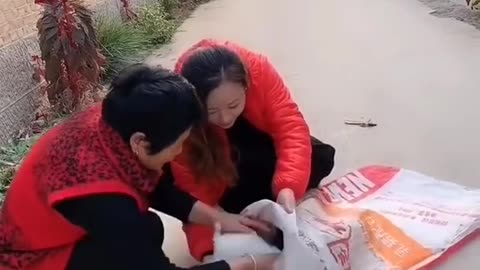 Best Funny Videos 2022 Chinese Funny clips daily shorts