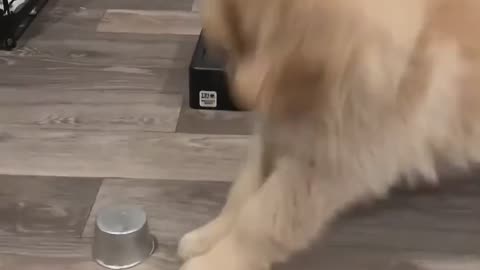 Àm i cute? 🖤