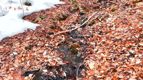 Peaceful Spring Moments in the Berkshire Mountains-10