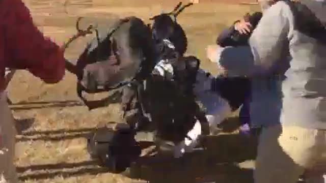 Sports Funny video #7