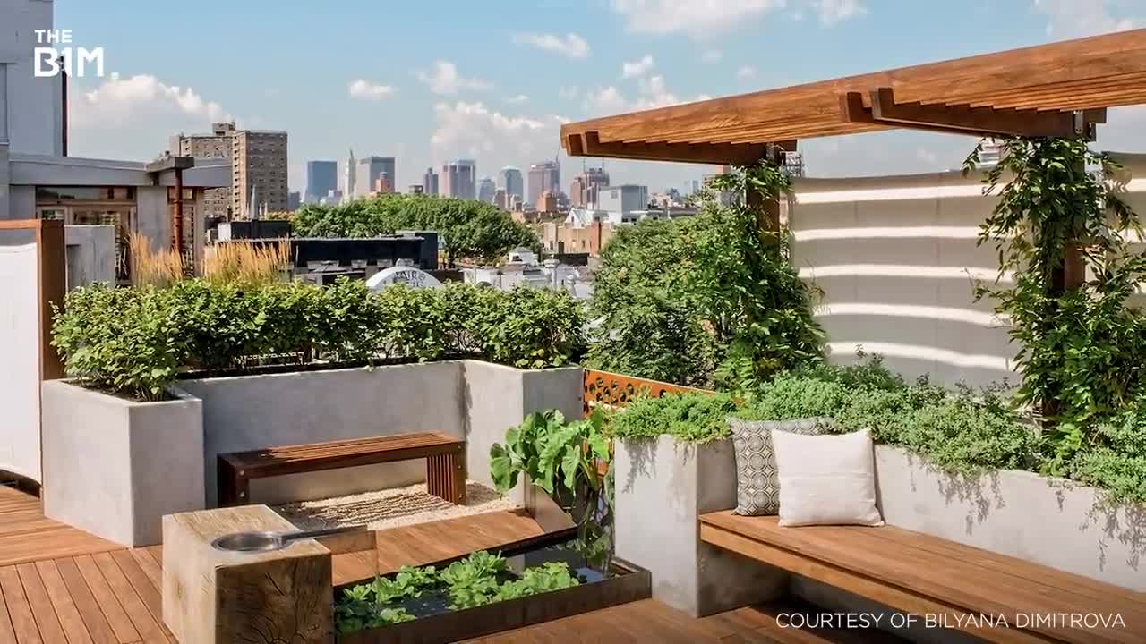 New York City's Green Revolution