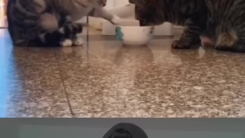 Heartwarming