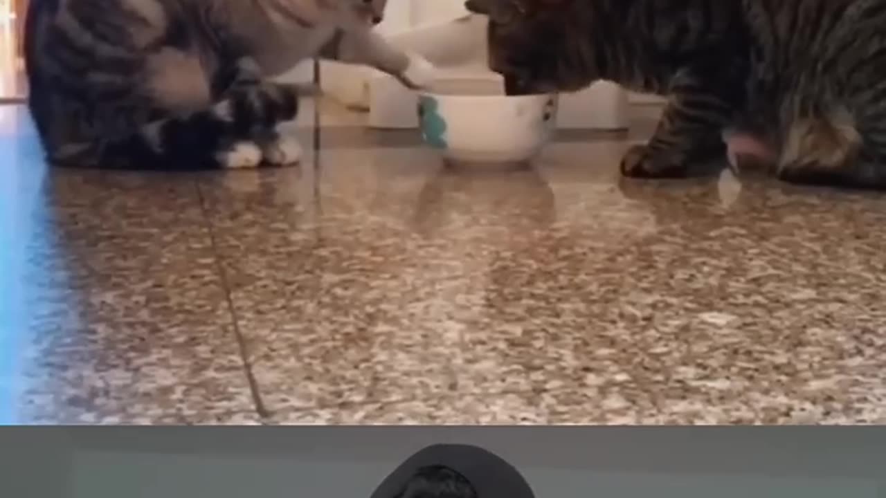 Heartwarming
