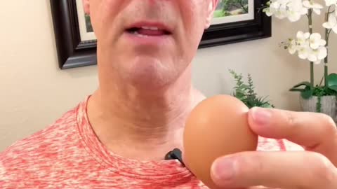 The egg