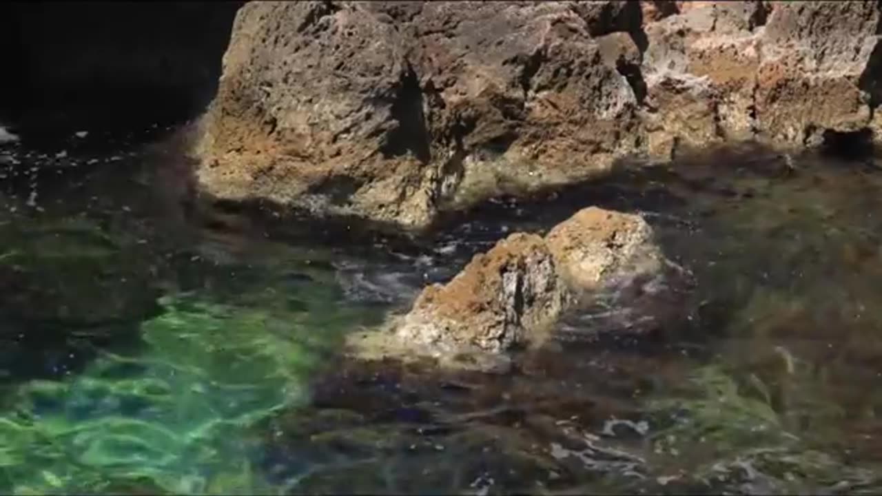 Beautiful_Nature/Video