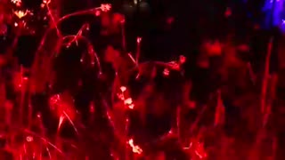 I love this red light. Year 2, Part 12