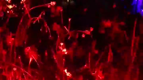 I love this red light. Year 2, Part 12